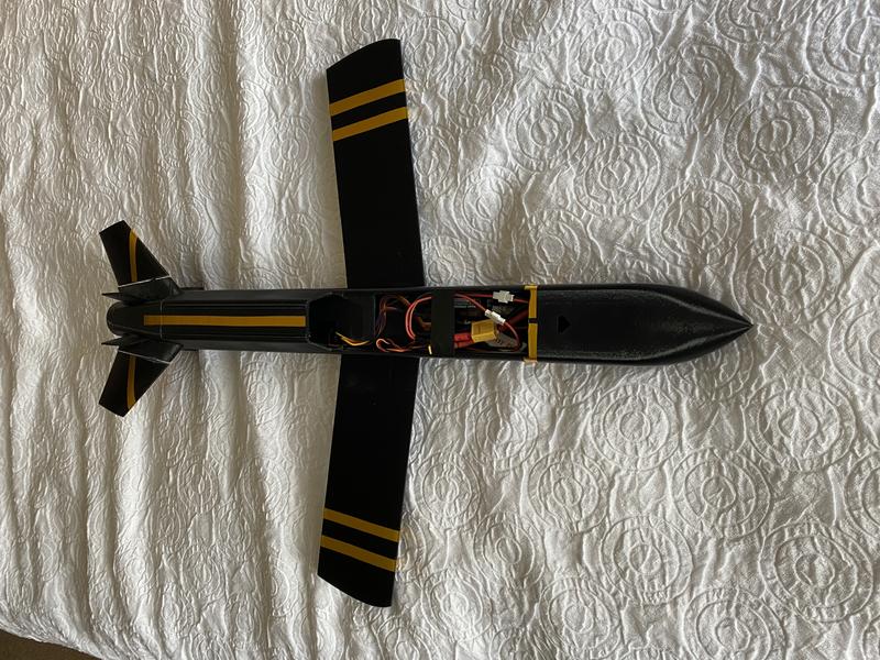 3D-printed RC plane