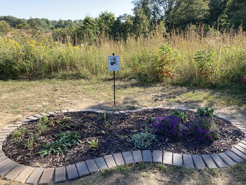 Eagle Scout Project thumbnail